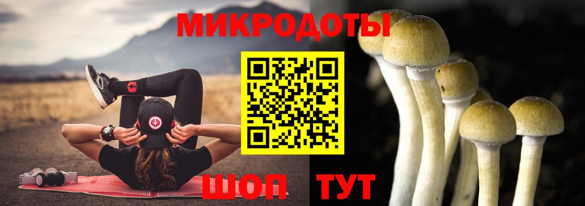 Светлоград  Галлюциногенные грибы Psilocybe  Псилоцибиновые грибы Psilocybe  Вход с VPN 